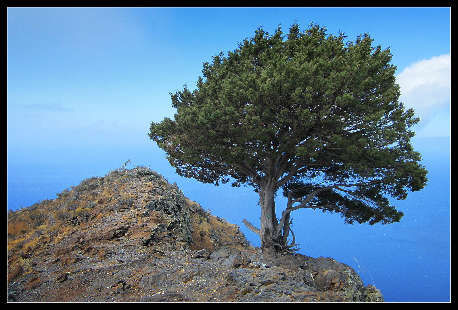 La Gomera 2014 - 9