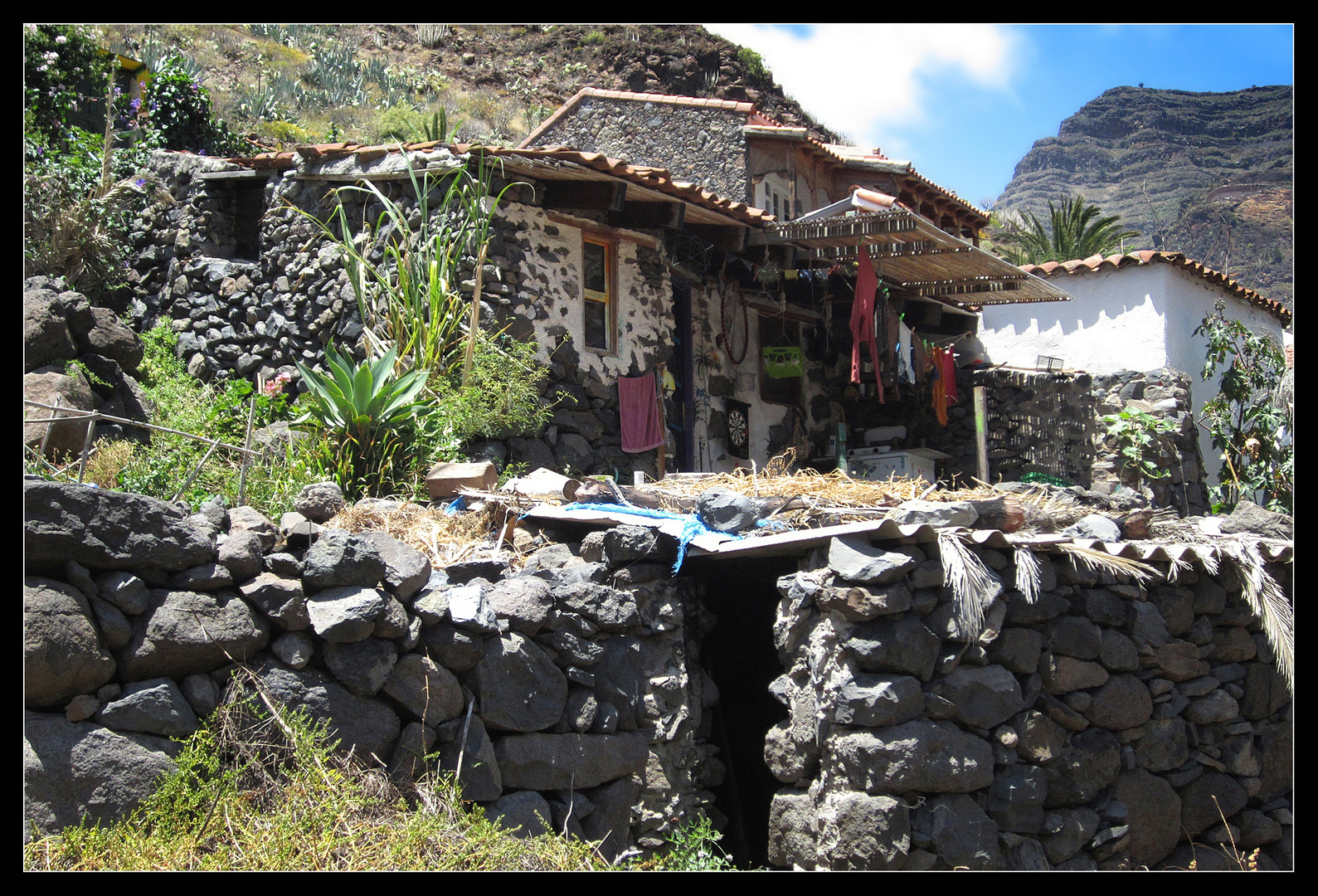 La Gomera 2014 - Valle Gran Rey 2014 - 10