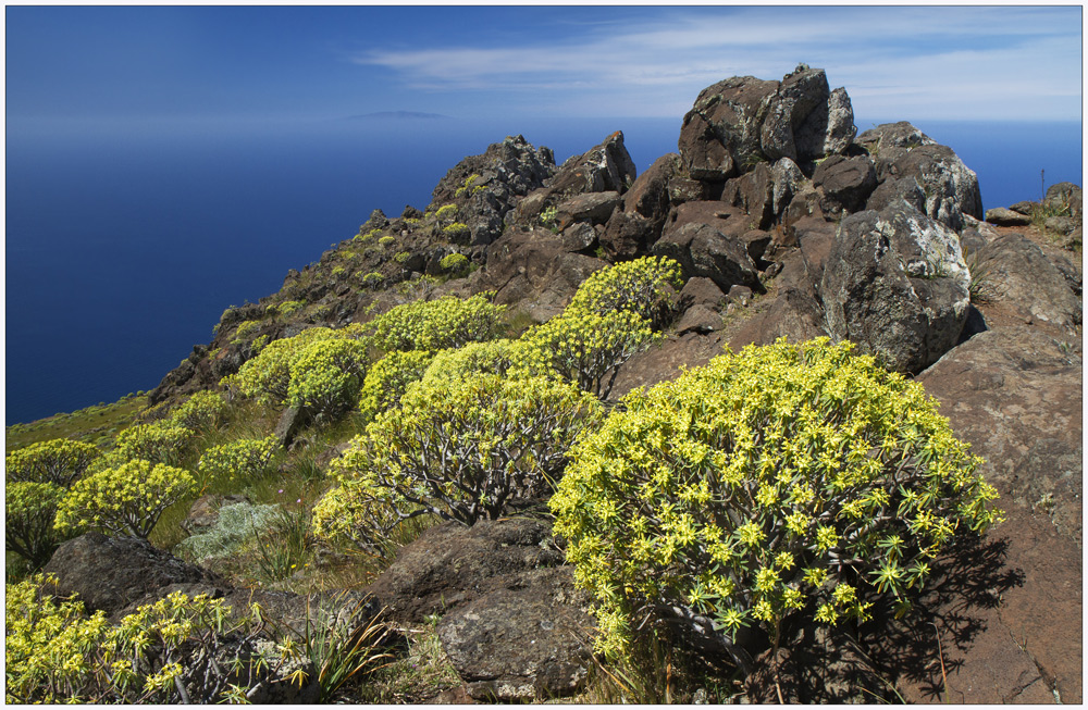 La Gomera (3)