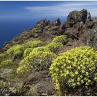 La Gomera (3)