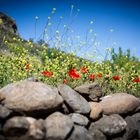 La Gomera