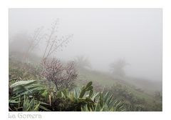 La Gomera