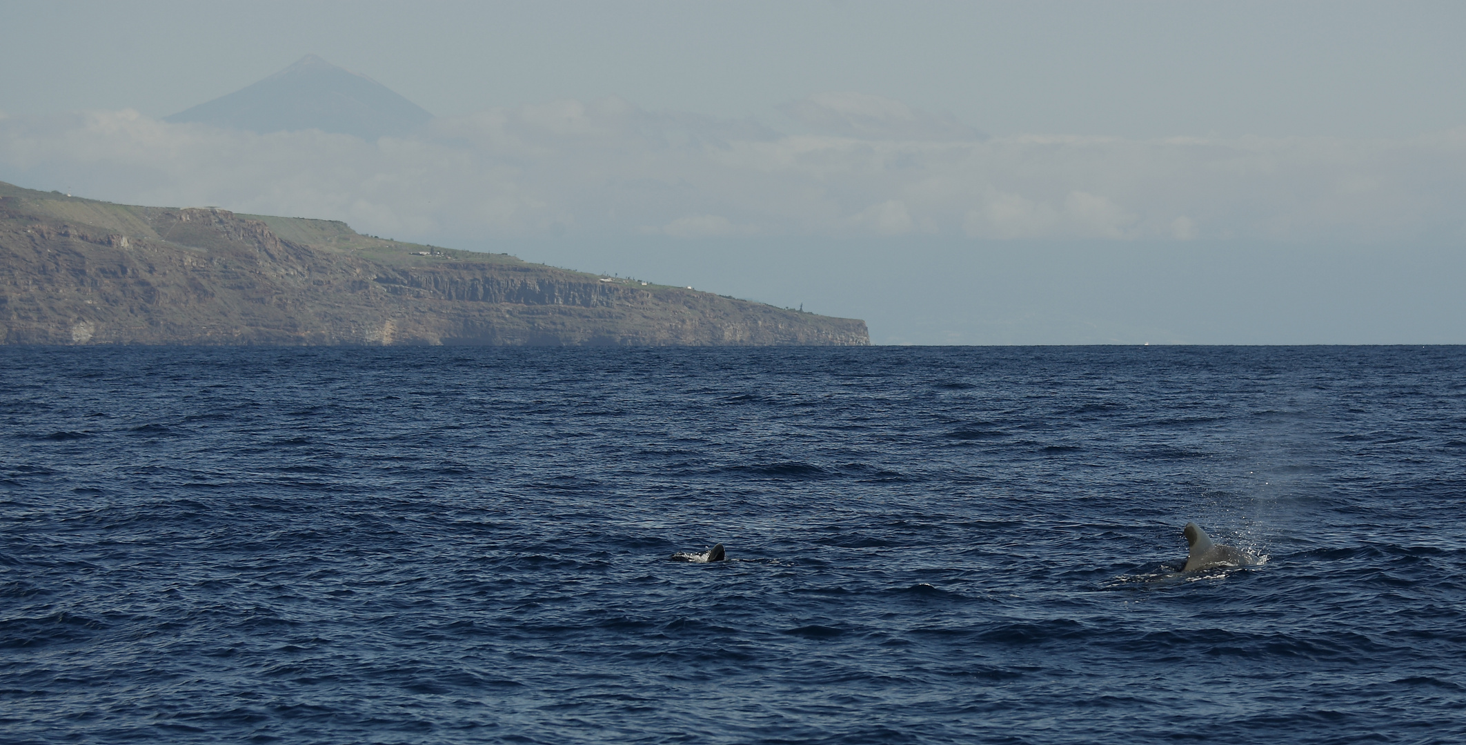 La Gomera