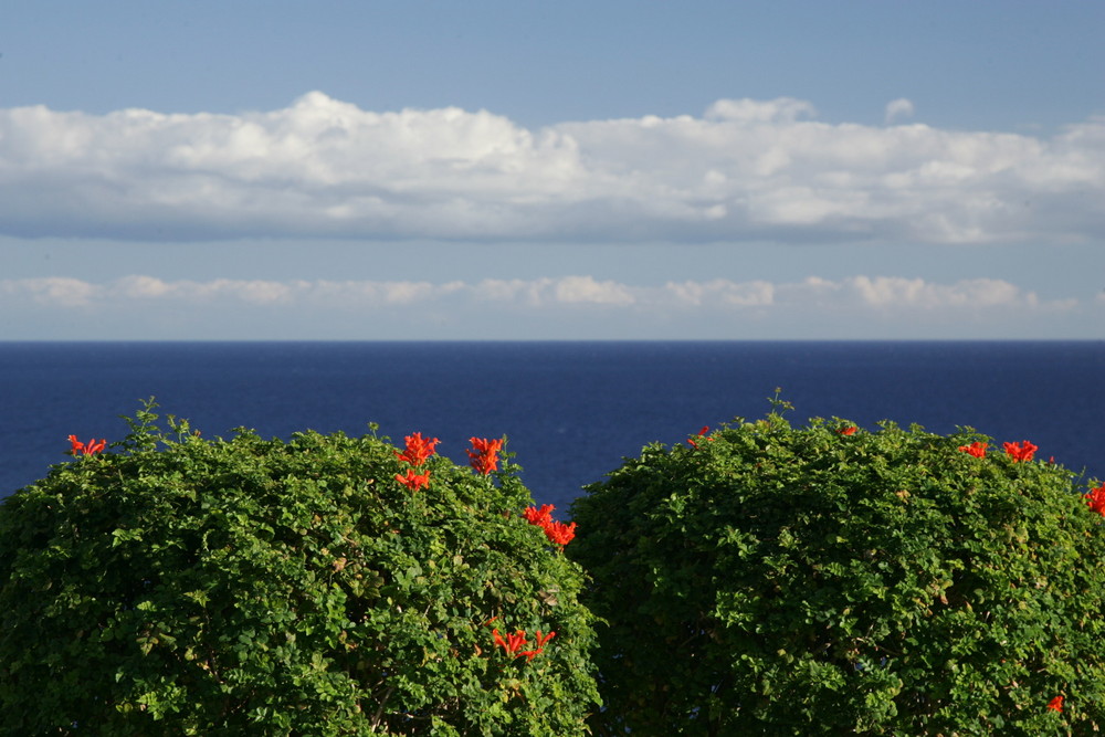 * La Gomera *