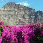 La Gomera