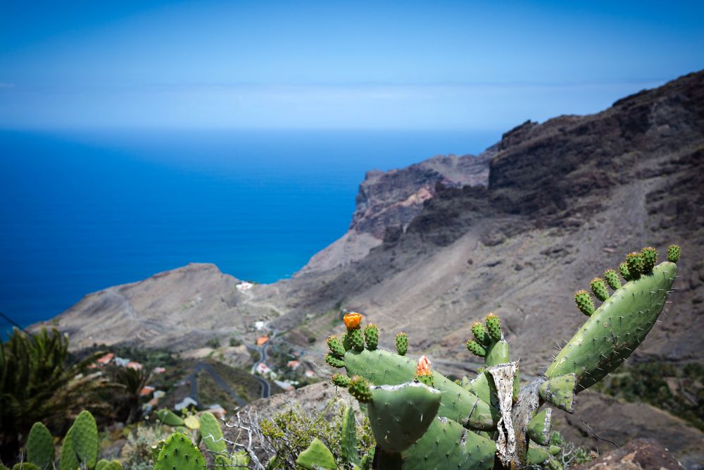 La Gomera