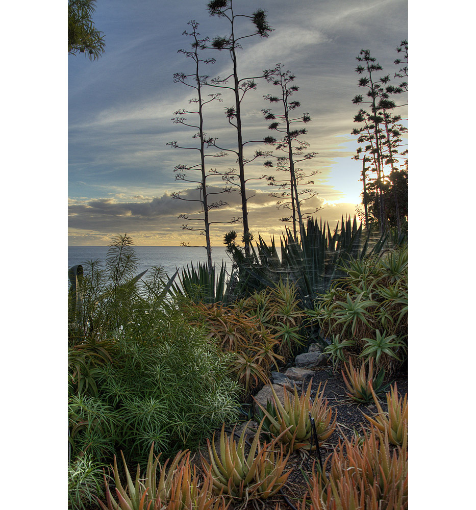 La Gomera - before sunset