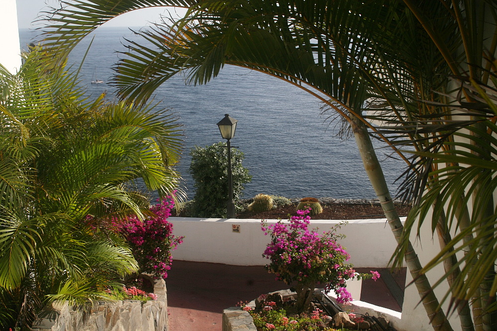 La Gomera: Bougainvillea