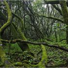 LA GOMERA