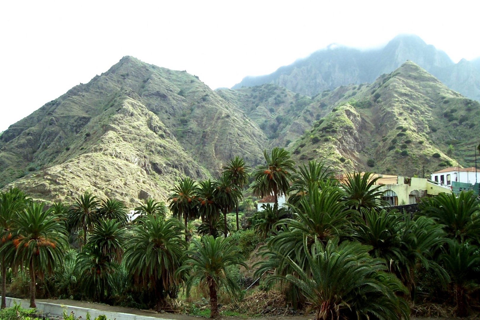 La Gomera die grüne Insel