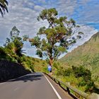 La Gomera , Eine Strasse