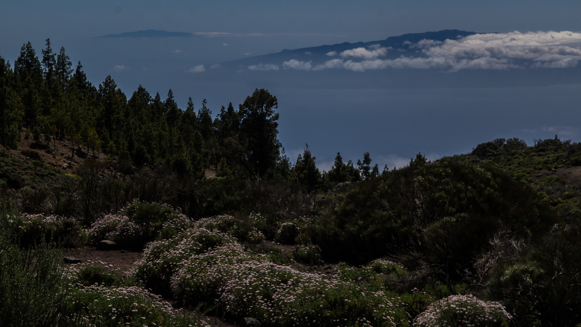 La Gomera & El Hiero