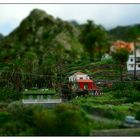 La Gomera en miniature