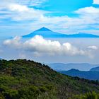 La Gomera "Ganz oben"