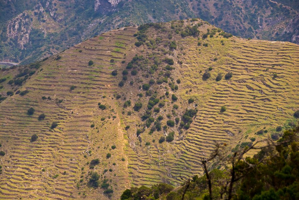 La Gomera, Roque Cano