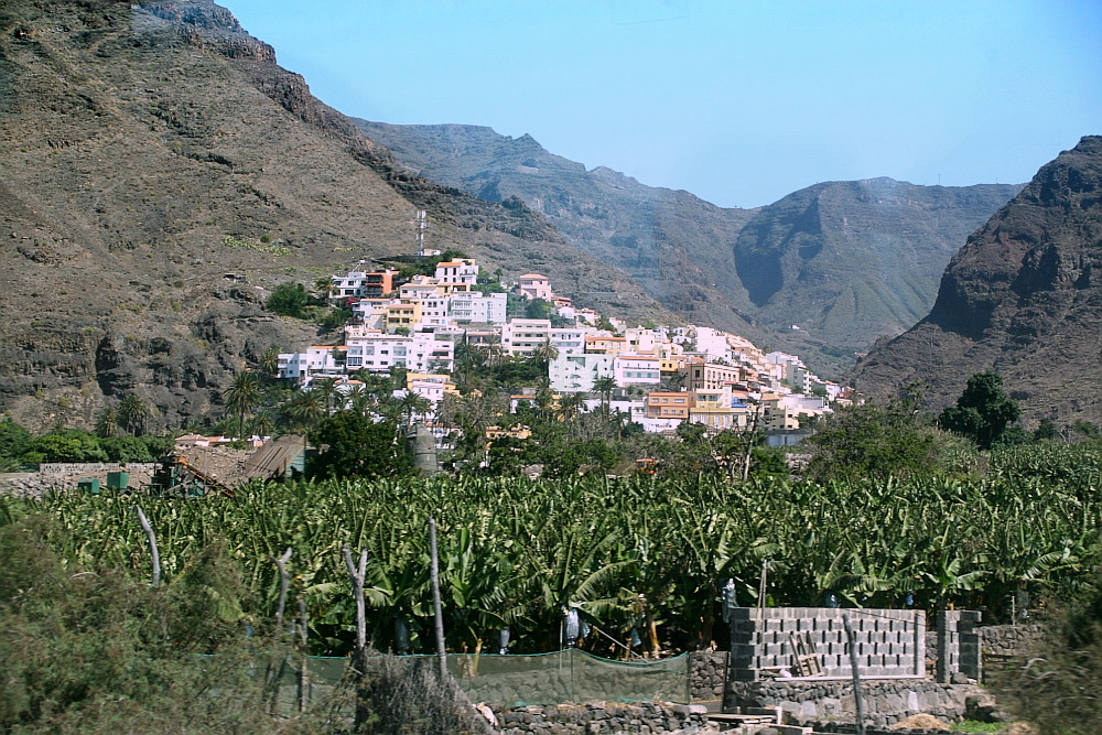 La Gomera: Valle Gran Rey, Bananenplantage