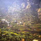 la gomera, valle gran rey, spain 1986