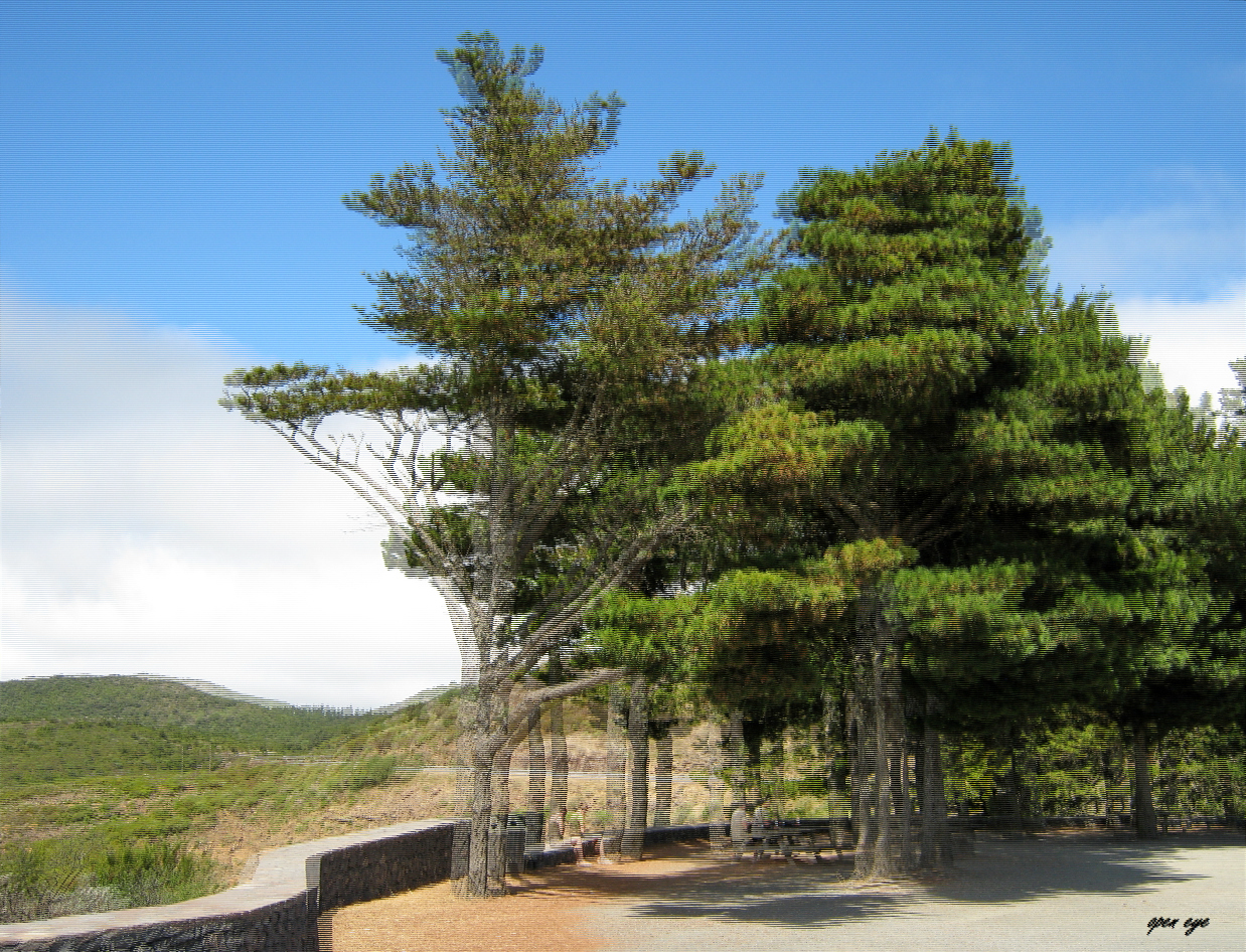 La Gomera vor dem Feuer 2012 - 3D Interlaced