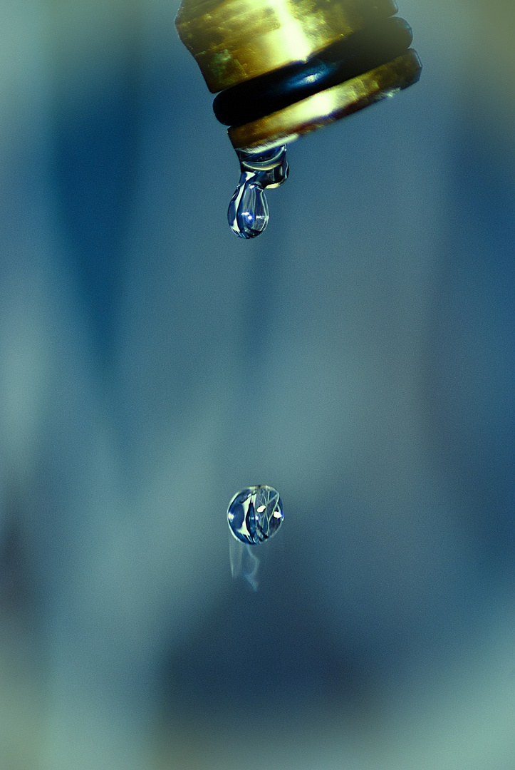 La gota