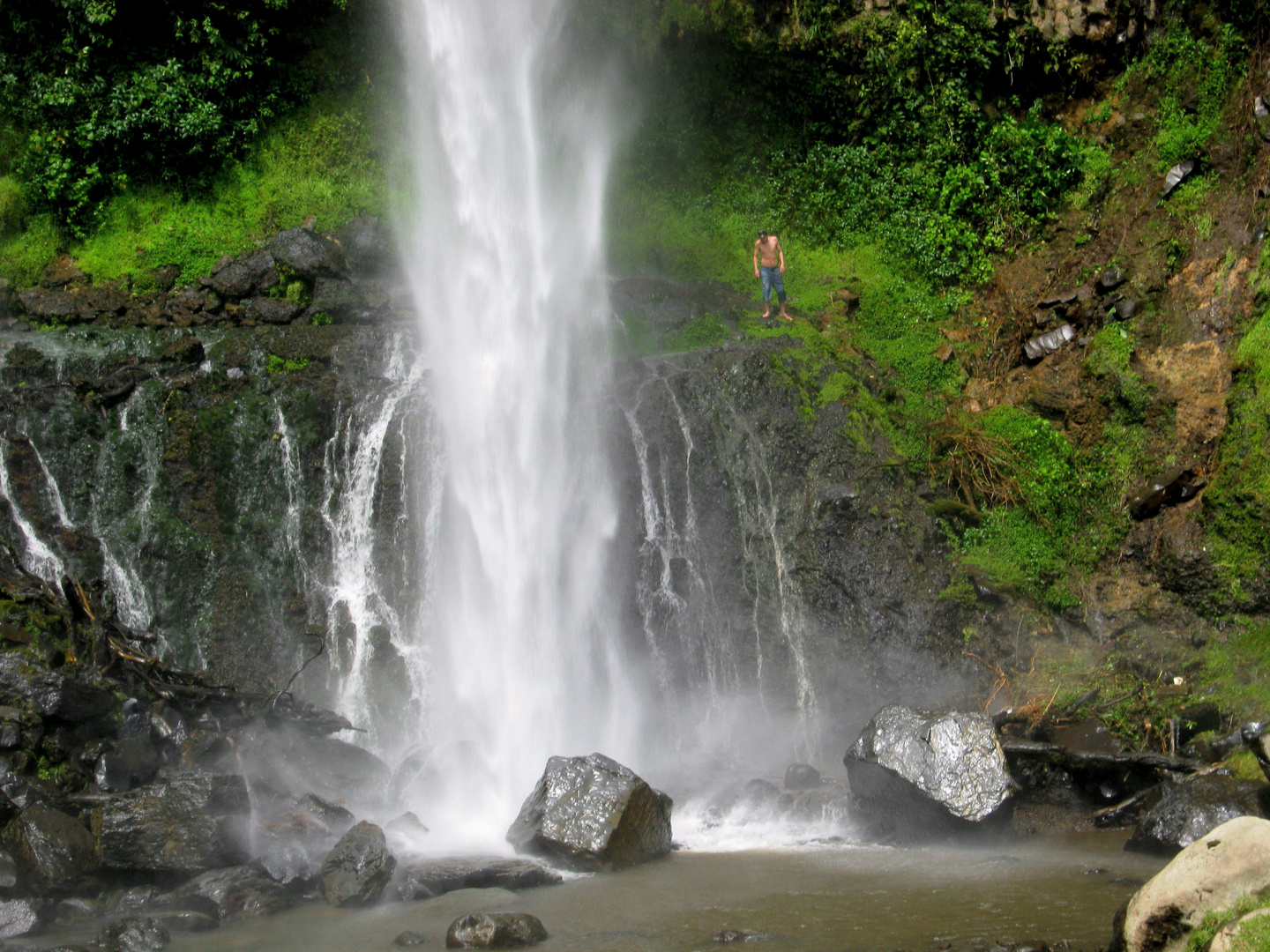 La gota humana