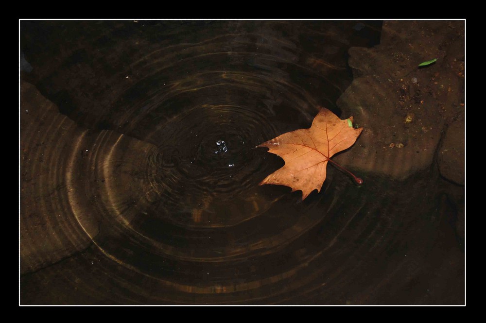 la gota que cae