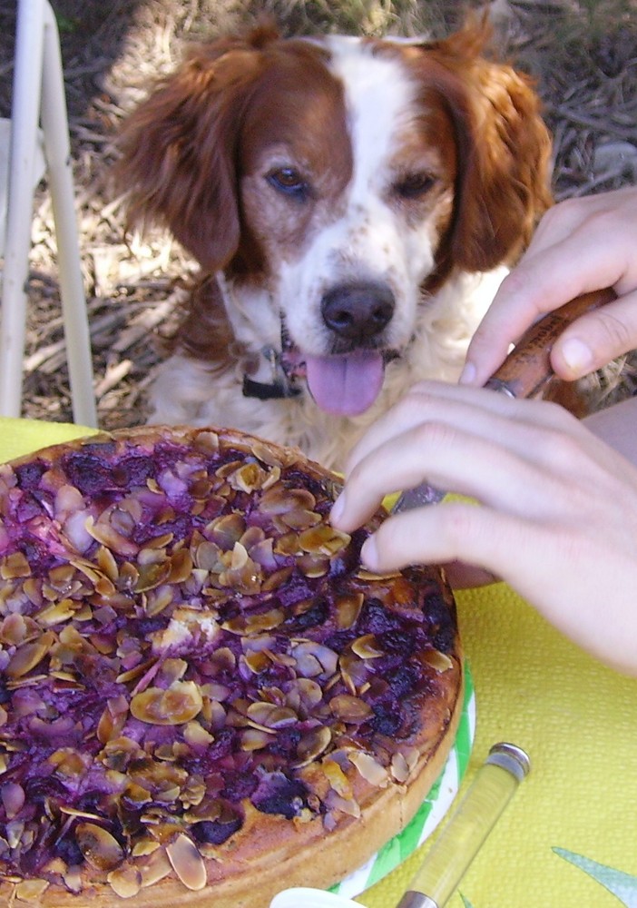 la Gourmandise