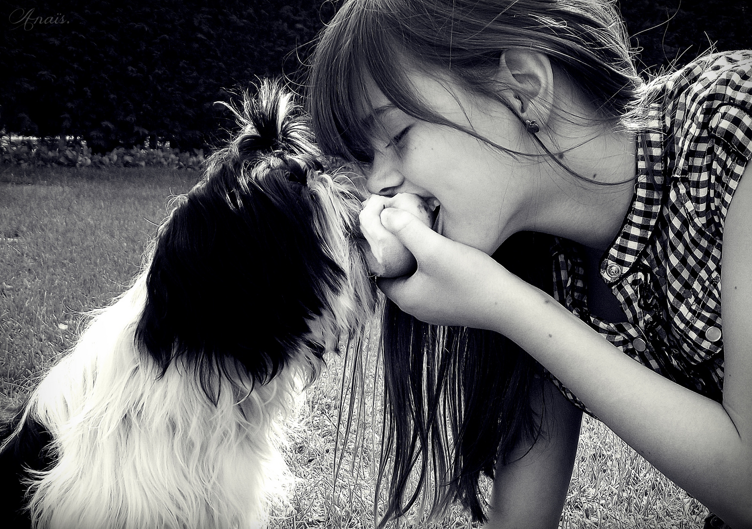 La gourmandise du chien et le partage de son maître. :)