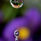 La goutte au panier fleuri...