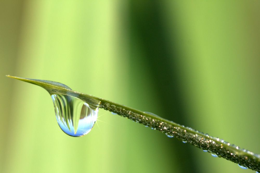 la goutte d'eau !!