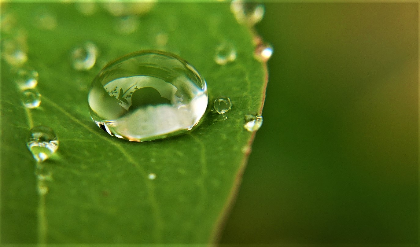 La goutte d'eau