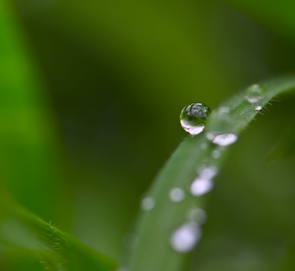 La goutte d'eau miroir