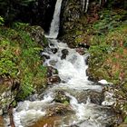 la goutte des oeillets ( jura )