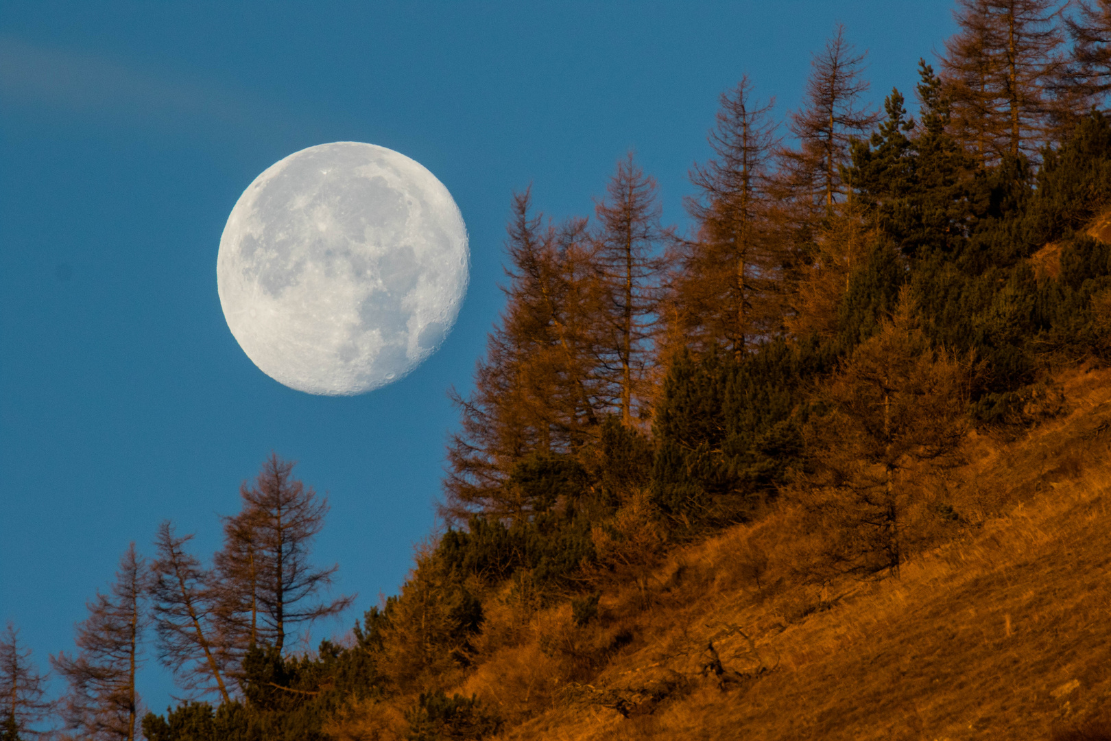 La grande luna " Dell'Orsiera Rocciavrè "