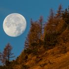 La grande luna " Dell'Orsiera Rocciavrè "