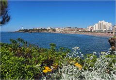 La Grande Plage de Biarritz