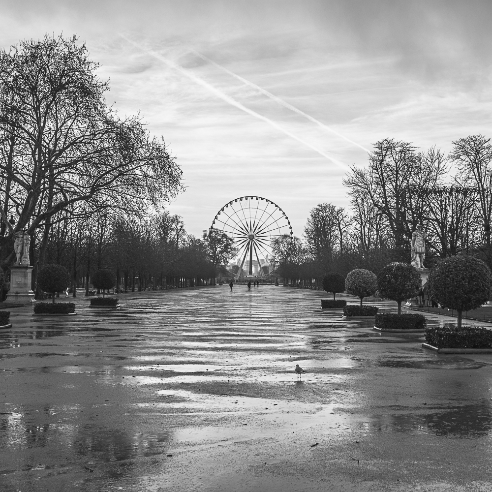 La grande roue Paris