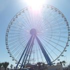 La grande ruota panoramica sulla spiaggia di Rimini