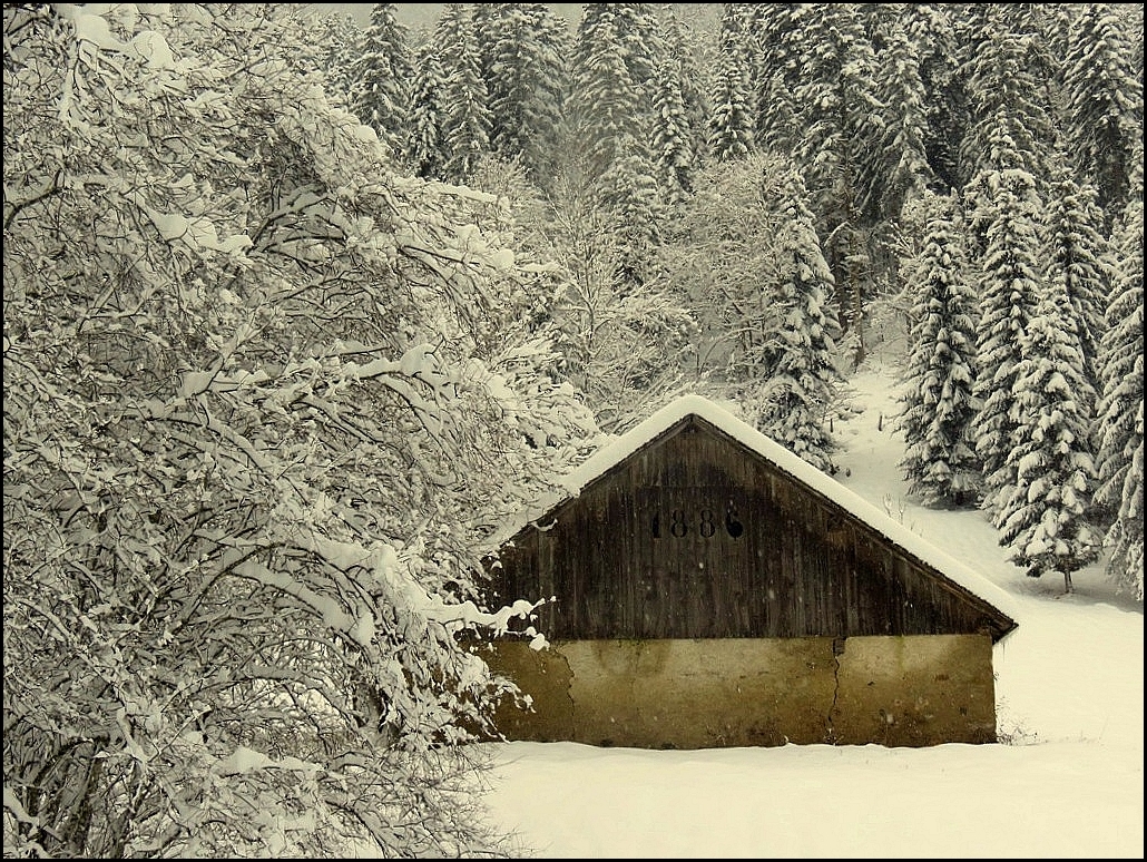 La grange abandonnée !