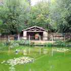 La grenouille qui veut se faire aussi grosse que le boeuf .. Puy du Fou