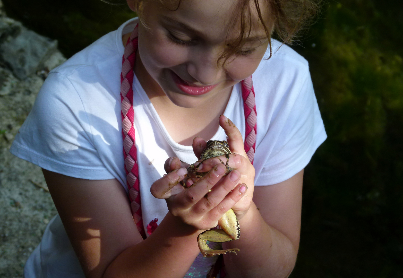  * la grenouille verte * pauvre bête ;-))))