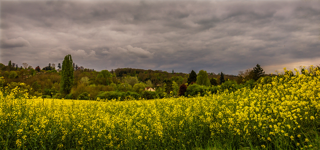 La grosse vague jaune