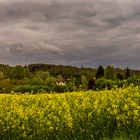 La grosse vague jaune