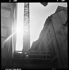 la grue