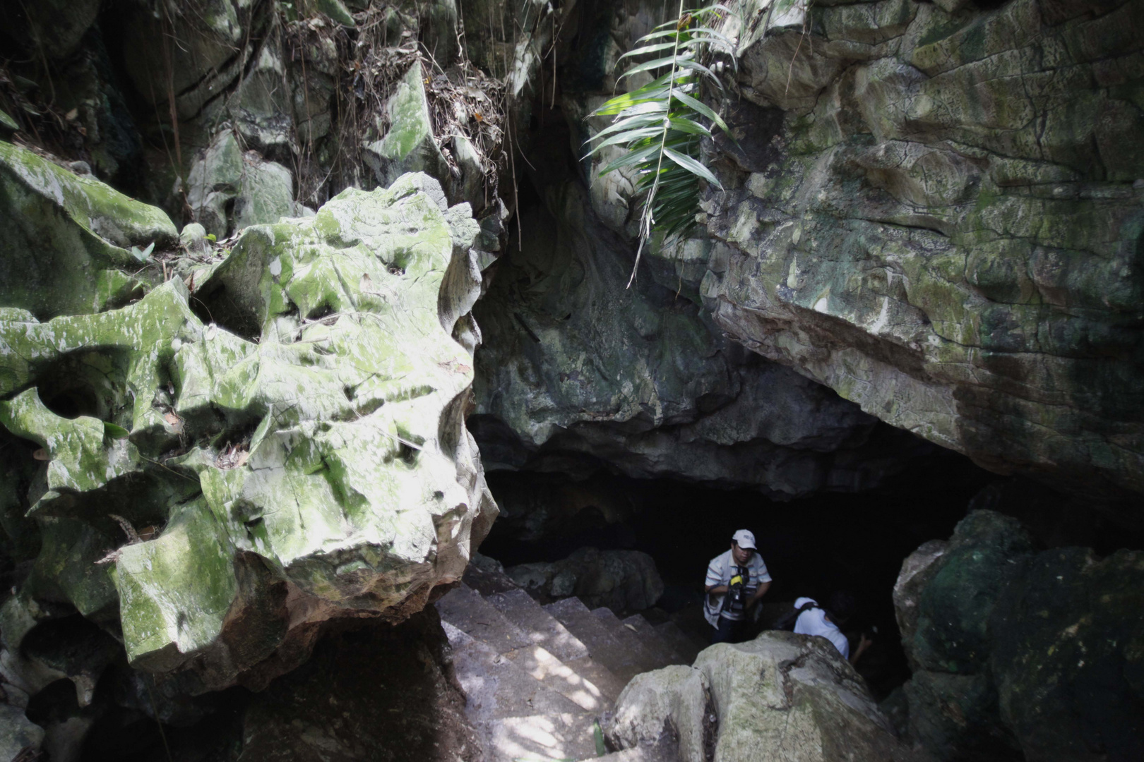 La gruta de la sardina