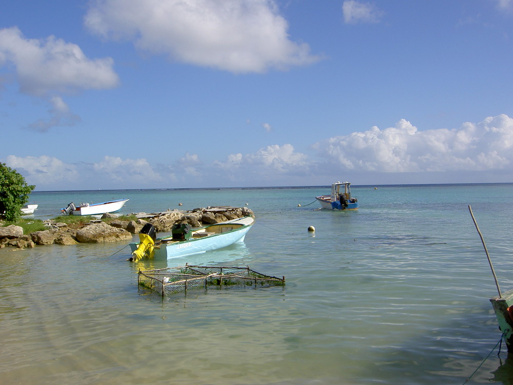 La GuAdElOuPe