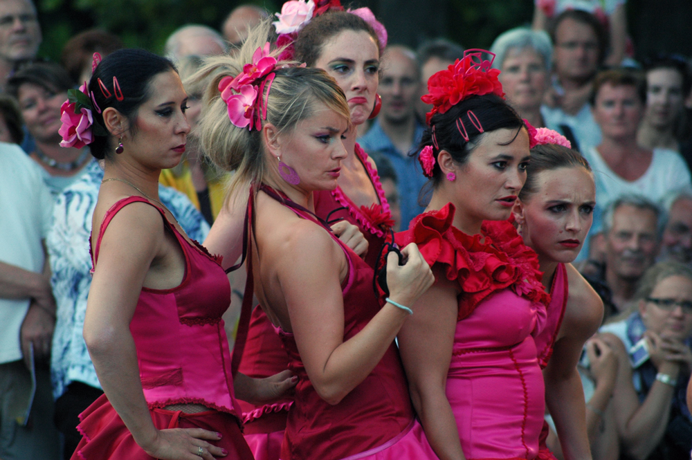 La Guardia Flamenca 2