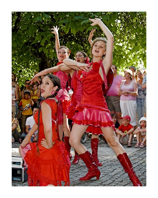 la guardia flamenca