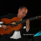 la guitarra flamenca