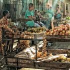 La Habana - 9