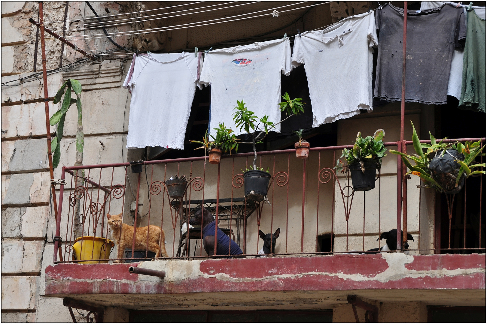 La Habana, Centro